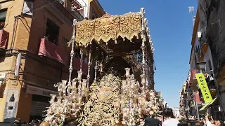 Semana Santa Sevilla 2023 - Madrugá - Esperanza de Triana (Hdad Esperanza Triana) - C/Pureza (2/2)