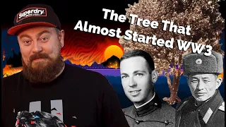 How A Tree Almost Started World War 3