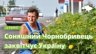 Соняшний Чорнобривець заквітчує Україну · Ukraїner