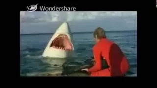 The Last Shark Death with Jaws Music