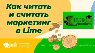 Алгоритм работы Бонусных программ Lime. Обучение для новичков: "Как читать и считать маркетинг"