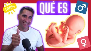 💁🏻‍♀️Cómo "SABER el SEXO de mi Bebé" de forma Segura y Predecir si es NIÑO 🚹 o NIÑA 🚺