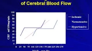 Controversial Issues Facing the Clinician in Stroke Care