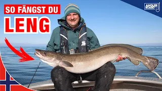 Leng angeln in Norwegen | Montage, Köder und Ausrüstung zum Meeresangeln auf große Fische