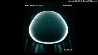 Higher Intelligence Agency & Pete Namlook - Begend