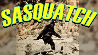 Sasquatch!