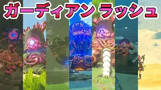 【ゼルダの伝説】超遠距離バトル勃発！ガーディアン ラッシュ！！ボスラッシュ10th【実況プレイ】#259 ブレスオブザワイルド Nintendo Switch