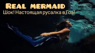 Real mermaid in Goa!!! 🧜🏻‍♀️ Настоящая русалка в Гоа