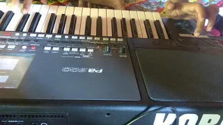 RIBBON CONTROLLER KORG PA600 Made In DW