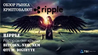 Ripple расправляет крылья. Bitcoin, NEO, NEM, QTUM, DigiByte | Обзор TSI Analytics