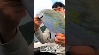 綠島釣魚不會讓人無聊 #shorts #fishing #short