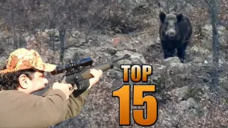 TOP 15 GIANT WILD BOAR HUNTS - EN İYİ AZILI DOMUZ VURUŞLARI