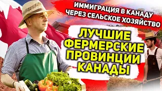 ИММИГРАЦИЯ В КАНАДУ ЧЕРЕЗ СЕЛЬСКОЕ ХОЗЯЙСТВО // ЛУЧШИЕ ФЕРМЕРСКИЕ ПРОВИНЦИИ КАНАДЫ