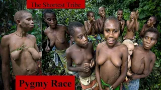 The Shortest Tribe.Pygmy Race.