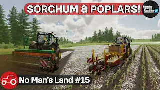 No Man's Land #15 FS22 Timelapse Sowing Sorghum & Soybeans, Planting Poplars, Spreading Lime