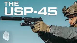 The HK USP 45