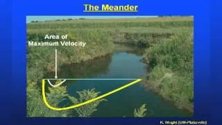 Stream Ecology Basics