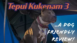 How to get your dog into Tepui Roof Top Tent on your 3rd Gen 4Runner