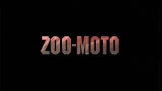 ZOO-MOTO / Dante Cecchin / experimental short film / Betacam  SP / 1994