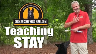 Teaching a German Shepherd to STAY with GSM