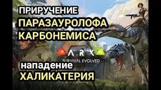 ARK SURVIVAL/Приручение Паразауролофа и Карбонемиса/ЛОХОНУЛИСЬ/ Нападение Халикотерия/УБИЛ всех