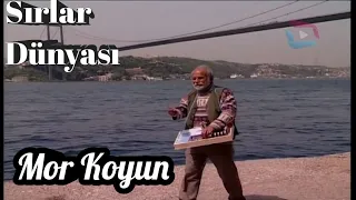 Sırlar Dünyası Mor Koyun (İbretlik Hayat Hikayesi) {Mutlaka İzleyin} #sırlardünyası