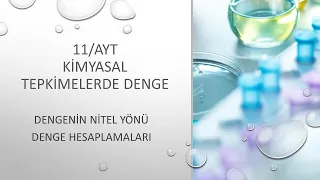 11-AYT/ 6.ÜNİTE-01-DENGENİN NİTEL YÖNÜ