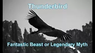 Thunderbird - A Fantastic Beast or Legendary Myth?