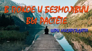 В покое и безмолвии вы растёте [Шри Нисаргадатта, озв. Никошо]