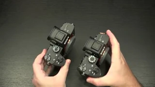 Sony A7iii vs A7Riii