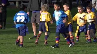 J8 Junior Rugby Game