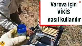 VAROVA için VİKİS nasıl kullanılır. beekeeping. Arıçılıq. arıcılık
