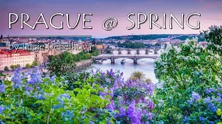 Beautiful Prague / Praha in Spring Time, Czechia - Timelapse Video - 4K