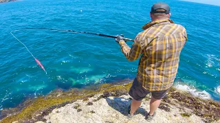 Dropping Lures into This Feeding Frenzy! HECTIC Footage!