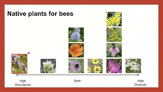 Native Plants & Bees with OSU Master Gardeners 2024