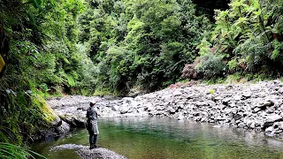 Fishing my Favourite River in New Zealand