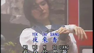 夜来香 Ye Lai Xiang (宝丽金 PolyGram Production - DVD版)