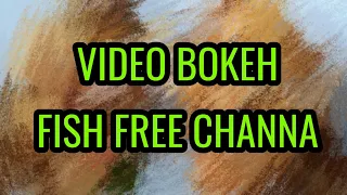 VIDEO BOKEH BACKGROUND FREE FULL 2022  || fish channa internasional background