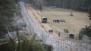 Poland reports more migrant crossing attempts from Belarus