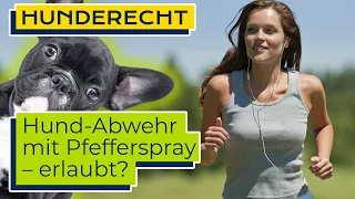 Hund abwehren mit Pfefferspray und Schrillalarm – erlaubt?