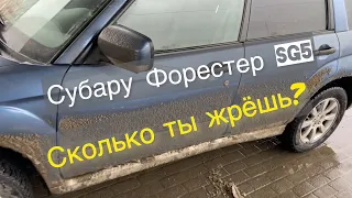 Какой расход Субару Форестер sg5? Сколько ты жрешь? Проверяем...