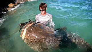 GIANT FISH Biggest EVER CAUGHT from LAND!!