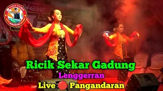 Ricik Sekar Gadung || Lenggerran || New Arista Music || Banjarnegara || Live 🔴 Pangandaran