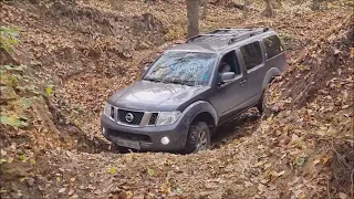 nissan pathfinder & navara w Bałtowie