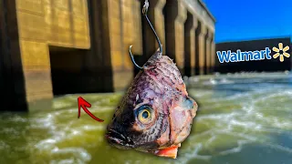 Fishing for Spillway GIANTS w/ $100 WALMART Budget!!