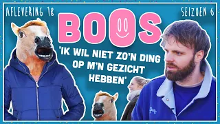 MARKTPLAATS OPLICHTER levert PAARDENSPULLEN NIET en dit LIJKT FAMILIESCAM | BOOS S06E18