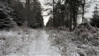 Giant ROAM3 winter ride