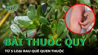 5 Loại Rau Quê Quen Thuộc Là Bài Thuốc Quý | SKĐS