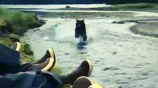 UNBELIEVABLE Bear Attacks 2021 (HD) | Real Bear Attacks on Human Caught on Camera