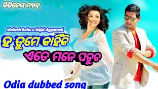 Ha tame kahiki Odia dubbed full lyrics song | Mahesh Babu, Kajal Agarwal | Business man ||
